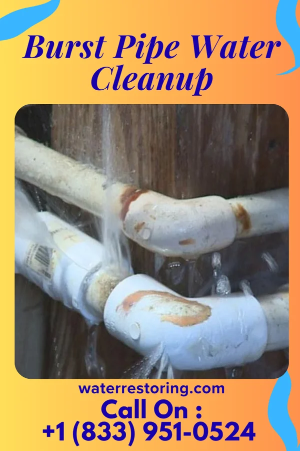 Burst Pipe Water Cleanup in Summerdale, AL